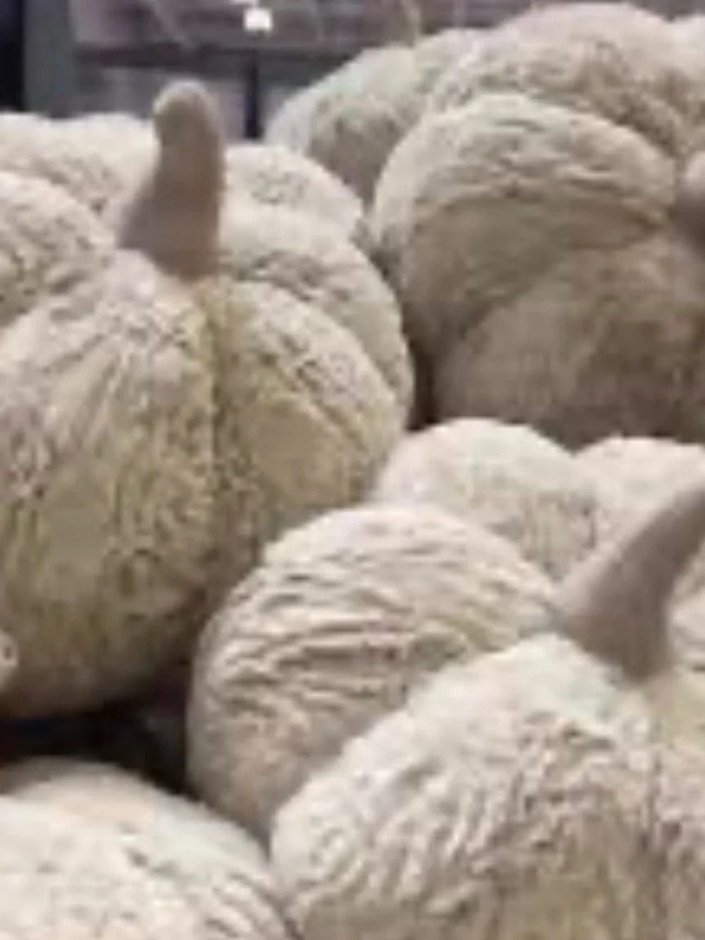 Holiday Harvest soft stuffed  Pumpkin